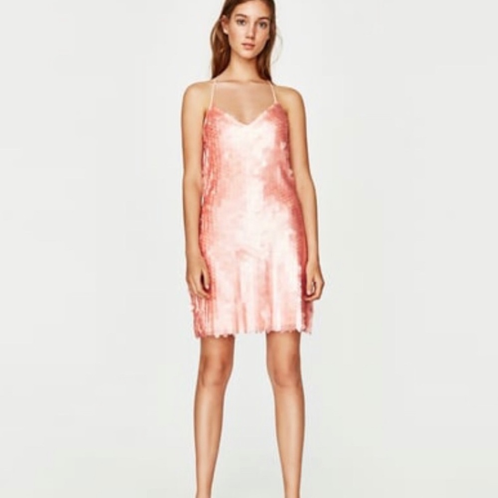 NWT Zara Pink Fish Scale Dress Sz M